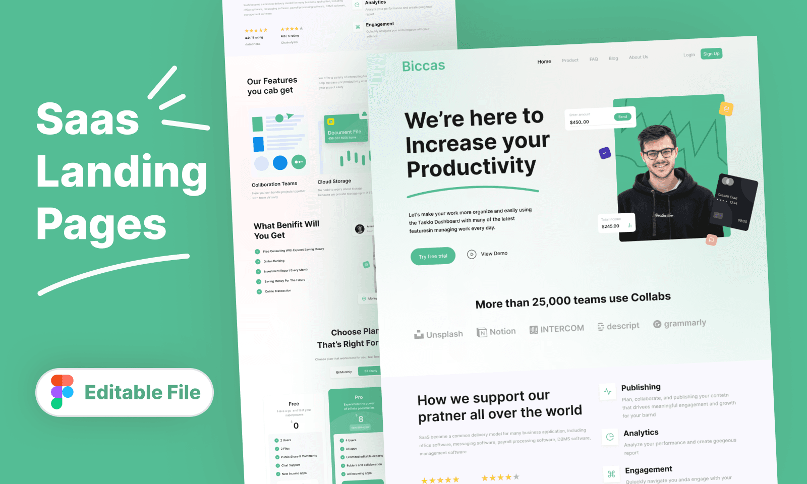 Saas Landing Pages